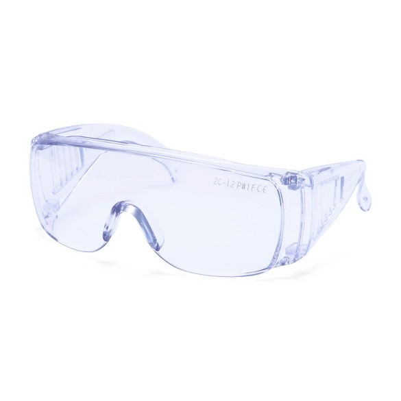 Visitor Safety Glasses