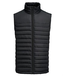 Arches Vest