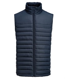 Arches Vest