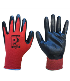 Pred Scarlet Smooth Nitrile Gloves (Pack Of 10 Pairs)